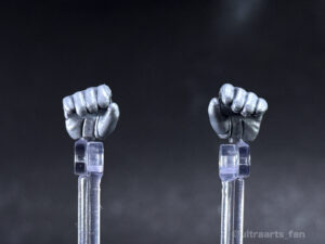 【簡易レビュー】S.H.Figuarts 真骨彫製法 仮面ライダー新1号 栄光の昭和ライダーエディション