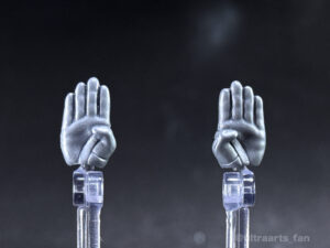 【簡易レビュー】S.H.Figuarts 真骨彫製法 仮面ライダー新1号 栄光の昭和ライダーエディション